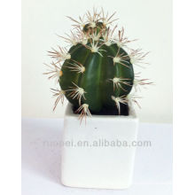 Decorative Artificial Succulent Plants Wholesale Mini Cactus Plant